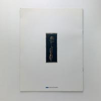 表出するイメージ　和紙を通した現代美術の表現