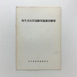 福生市長沢遺跡発掘調査概報