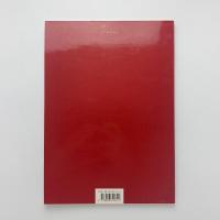 The Accademia, Michelangelo, the nineteenth century