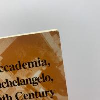 The Accademia, Michelangelo, the nineteenth century