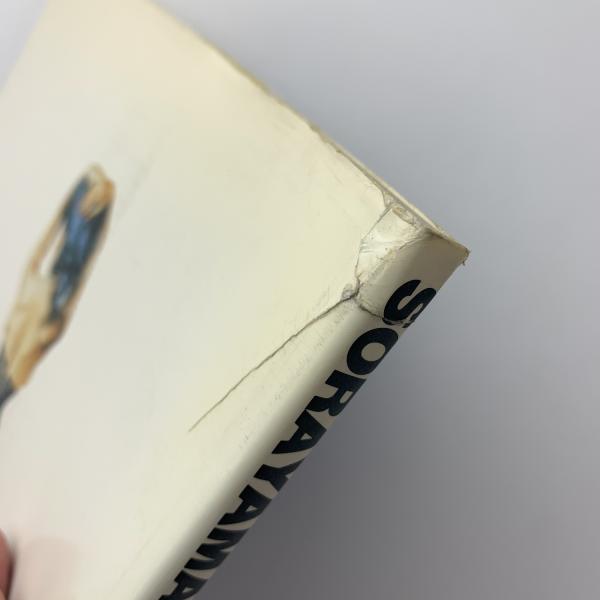 空山基ハイパーイラストレーションズ2(空山基) / 古本、中古本、古書籍