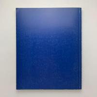 IMMENDORFF：Malerei 1983-1990