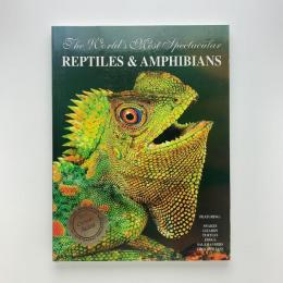 The World's Most Spectacular Reptiles and Amphibians