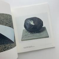 KARADAがARTになるとき　物質となった器官と身体