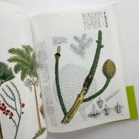 新装版 花の王国4　珍奇植物