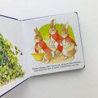 TINY TALE OF PETER RABBIT: CHUBBY BOARD BOOKS