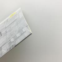 ジェネティック・エンジン　報告書