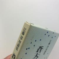 蒼天の谺