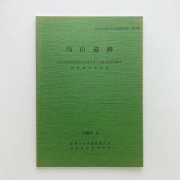 向山遺跡　区立済美教育研究所改築に伴う埋蔵文化財包蔵地発掘調査報告書