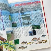 「たまがわ」の本