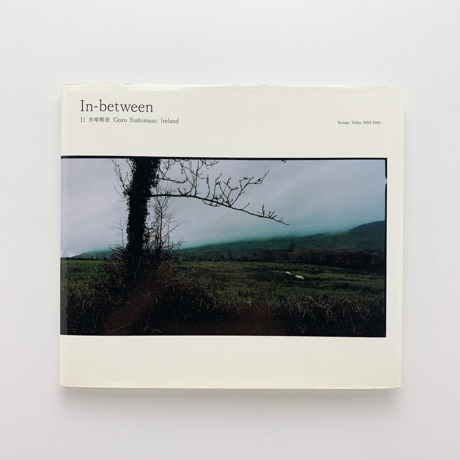 In-between 11 吉増剛造 アイルランド In-between 11 吉増剛造 アイルランド | ¥5,400 - 日本の古本屋 / 日本