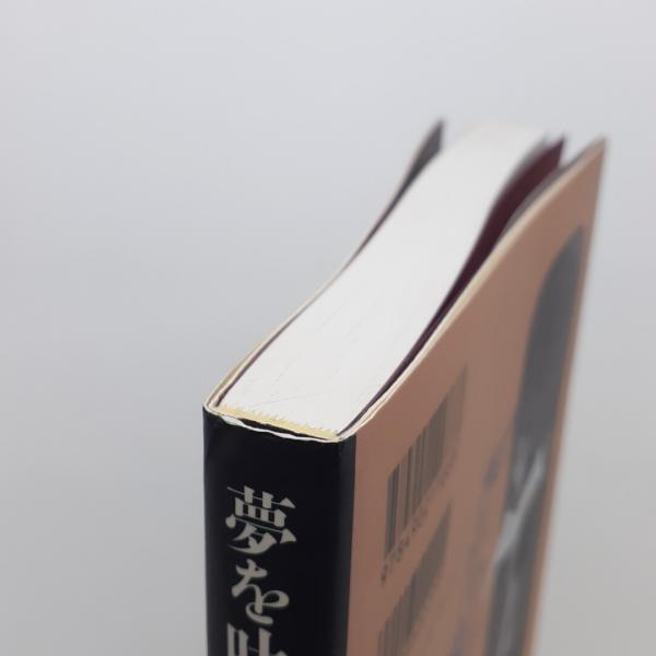 夢を吐く絵師・竹中英太郎(鈴木義昭) / 古本、中古本、古書籍の通販は