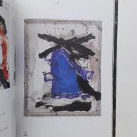 図録 ピーター・ヴォーコス展 
