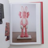 KAWS TOKYO FIRST