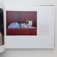 The Helsinki School Vol.3 Young Photography by TaiK