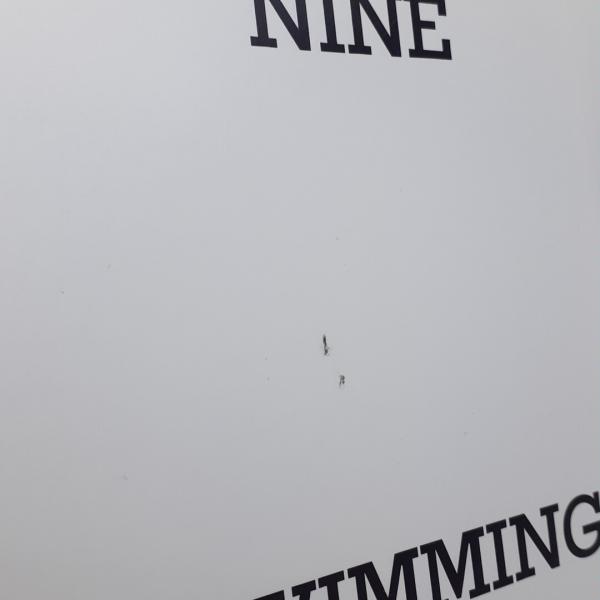 初版　NINE SWIMMING POOLS ホンマタカシ 古書古本 Totodo: Takashi Homma: Nine Swimming Pools and a