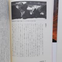 砂漠芸術