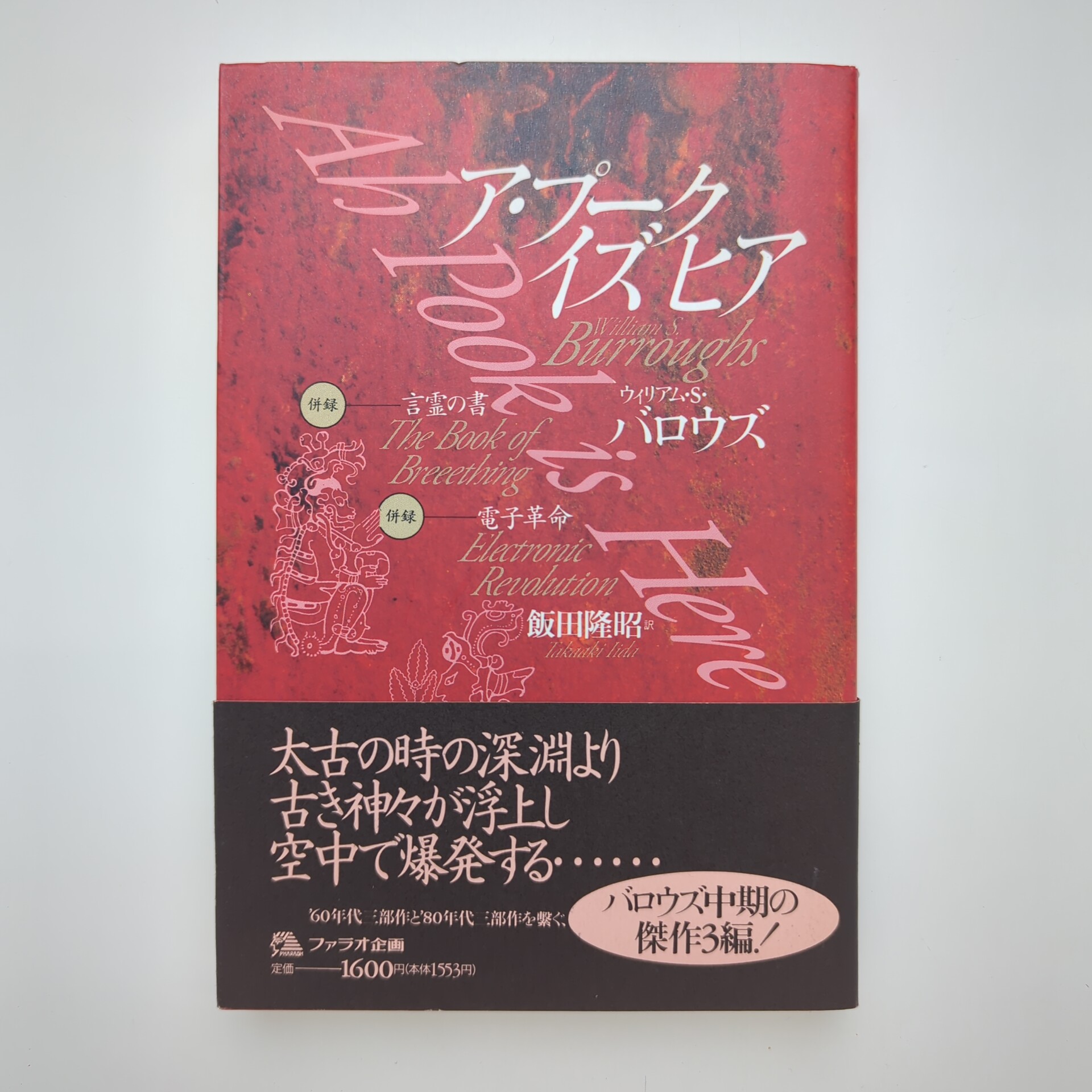 ア・プーク イズ ヒア(ウィリアム・S・バロウズ、飯田隆昭 訳) / 古本 