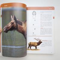 Mammals of British Columbia
