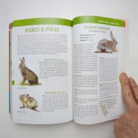 Mammals of British Columbia