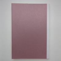 AMCジャーナル 芸術情報センター活動報告書 vol.2
