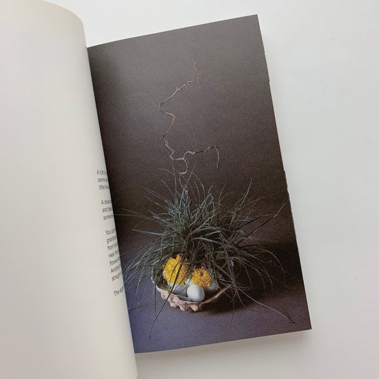 a flower with love｜Bruno Munari / 古本、中古本、古書籍の通販は
