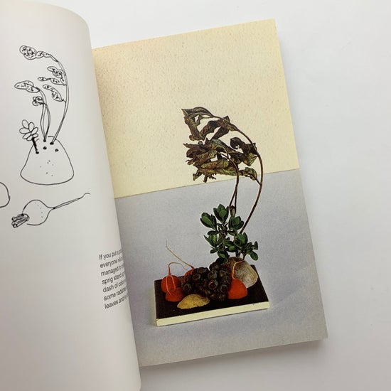 a flower with love｜Bruno Munari / 古本、中古本、古書籍の通販は