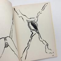 FRANCESCO CLEMENTE｜il Viaggiatore Napoletano