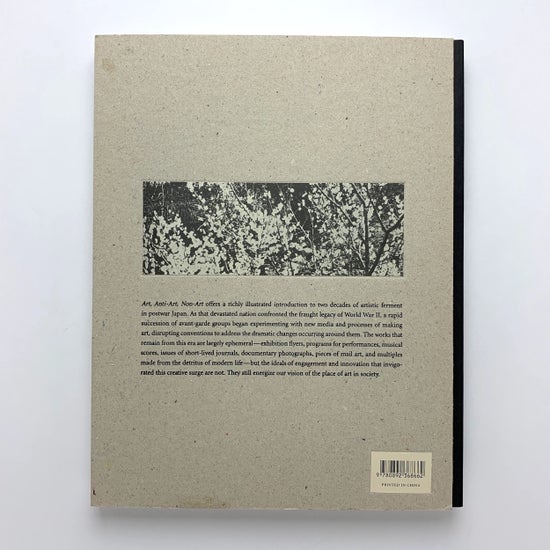 Art Anti-Art Non-Art: Experimentations in the Public Sphere