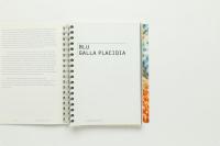 Alessandro MENDINI　30 colours