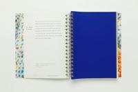 Alessandro MENDINI　30 colours