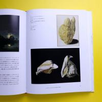絵画の歴史 洞窟壁画からiPadまで｜デイヴィッド・ホックニー＆マーティン・ゲイフォード