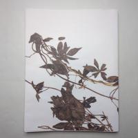 TOXIC GARDEN｜AN+