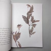 TOXIC GARDEN｜AN+