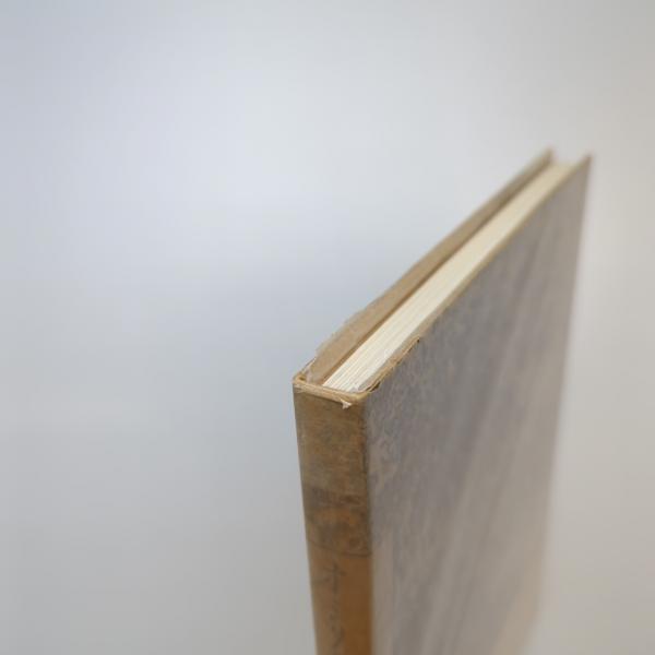 オシリス、石ノ神｜吉増剛造 / 古本、中古本、古書籍の通販は
