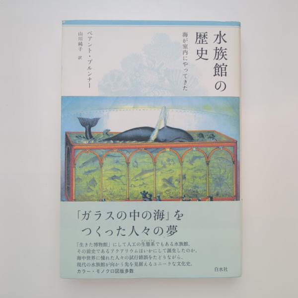 古本、中古本、古書籍の通販は「日本の古本屋」　honkbooks　コ本や　海が室内にやってきた(べアント・ブルンナー)　水族館の歴史　日本の古本屋