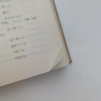 新スラヴ・日本語辞典 日本版