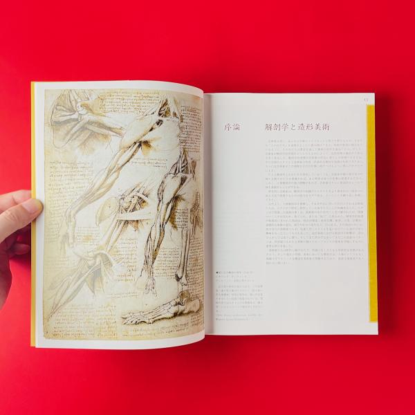 アーティストのための美術解剖学(ヴァレリー・L・ウィンスロゥ著、宮永