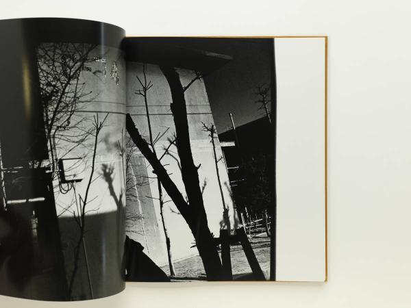 hysteric Twelve｜FUKASE MASAHISA(深瀬昌久) / 古本、中古本