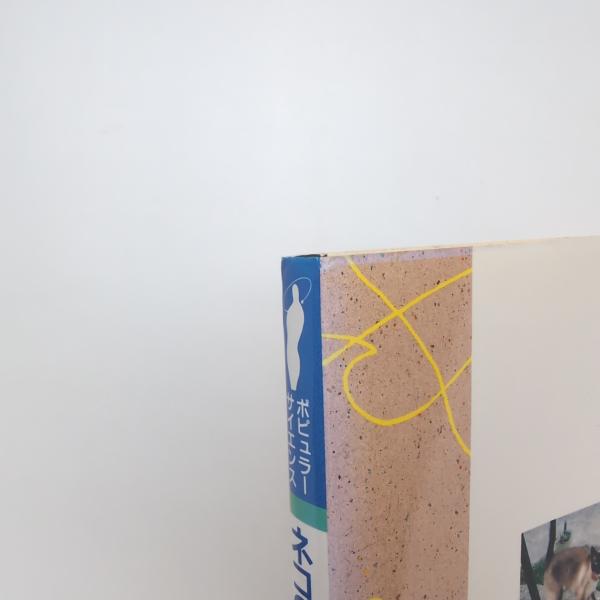 ネコの毛並み ―毛色多型と分布―(野澤謙) / 古本、中古本、古書籍