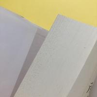 ディスクールの政治学 - フーコー、ブルデュー、イリイチを読む