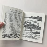 Nature Spirits: Wyrd Lore and Wild Fey Magic