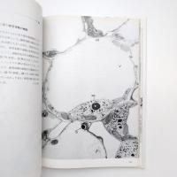 電子顕微鏡でみた植物の構造