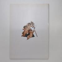 博物画ワンダーワールド ー荒俣宏コレクション展 カタログ