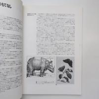 博物画ワンダーワールド ー荒俣宏コレクション展 カタログ