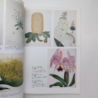 博物画ワンダーワールド ー荒俣宏コレクション展 カタログ