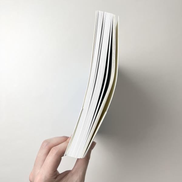 坂口かほる、【雨降る山の春】、希少な額装用画集より、新品額装付、状態良好 Kyohei Sakaguchi Water | 坂口恭平 | 左右社 | ¥2,000 - 日本の古本屋