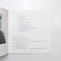 paul van rafelghem 彫刻家 カタログ