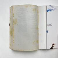 The Ruin to Come：Essays from a prolonged war