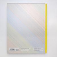 合成時代 Synthetic Times：Media Art China 2008 カタログ